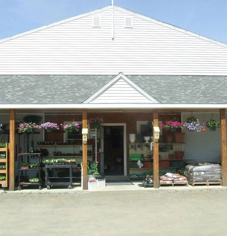 Our Store