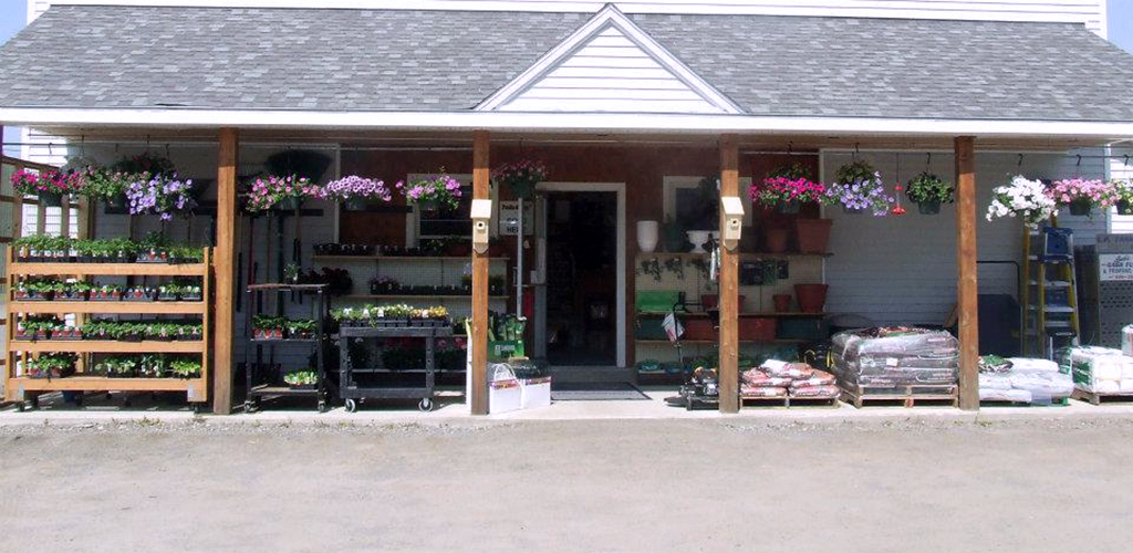 Our Store